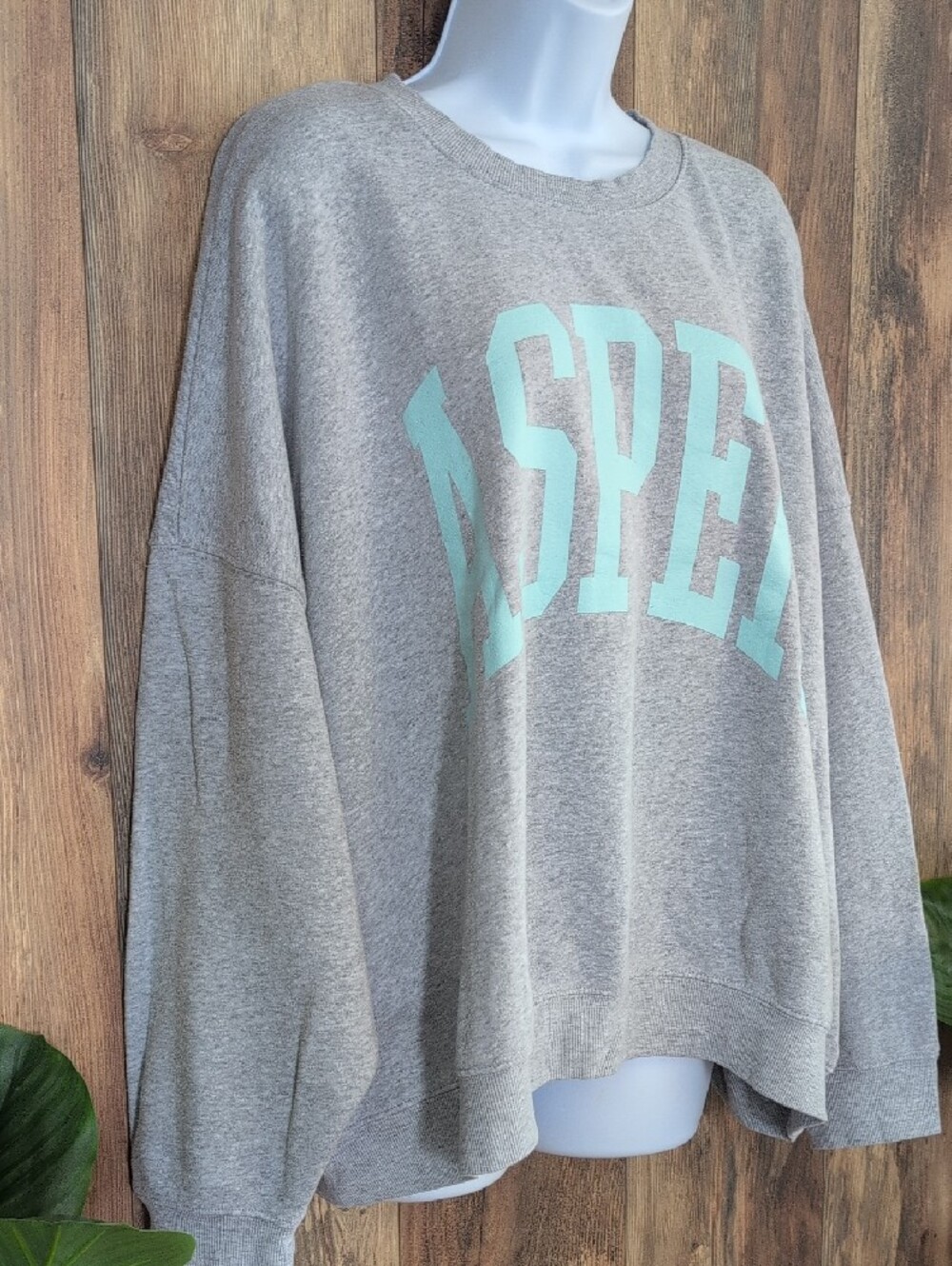 Grayson Threads Gray Aspen Oversized Sweatshirt 2X     W327